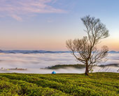 冬游黔东南，非遗新风采，人文风情攻略