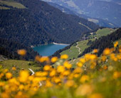 南方姑娘的心愿：想和你一起去东北看雪啊