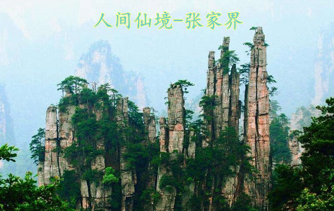春天7.jpg