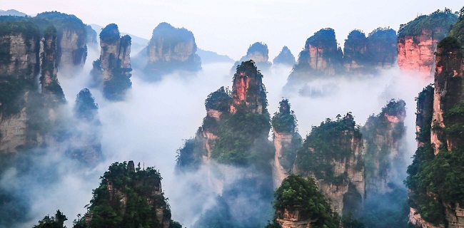 从“国际张”到“大张家界” 湖南整合区域资源打造世界级旅游目的地