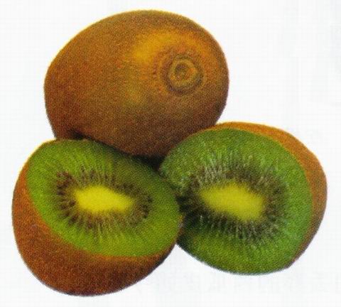 猕猴桃（杨桃）