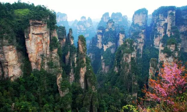 张家界三月旅游攻略，张家界春季旅游攻略，三月去张家界旅游注意事项